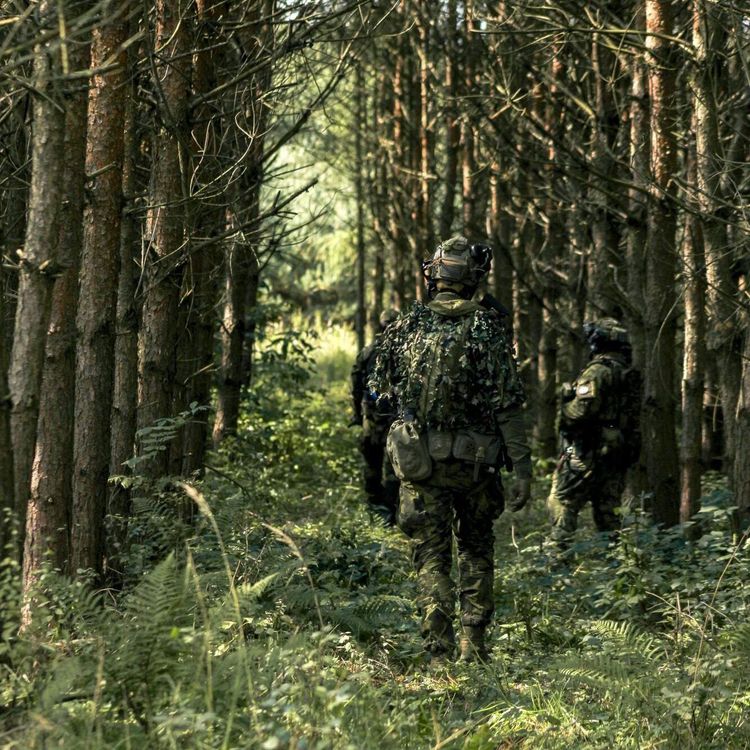 Areál Black Bears HRANICE