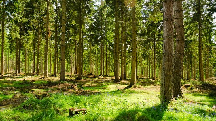 AirsoftGame Kbelská